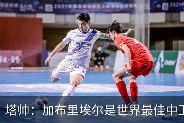 塔帅：加布里埃尔是世界最佳中卫之一，他在两个禁区的作用太强了