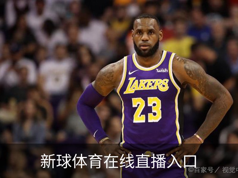 走进新球体育在线直播入口